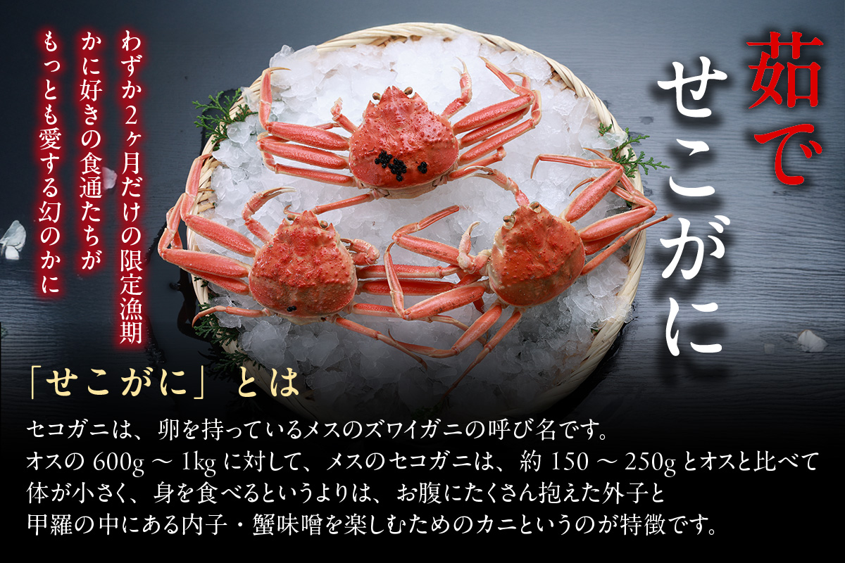 【セコガニ 約120g×6匹 釜茹で 冷凍】濃厚 かにミソ 内子 外子 産地直送 鮮度抜群 国産 カニ かに 蟹 松葉がに せいこがに メスガニ 親ガニ ふるさと納税 おすすめ 返礼品 兵庫県 香美町