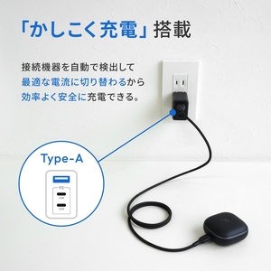 タイプc USB 対応 AC充電器 ブラック Owltech