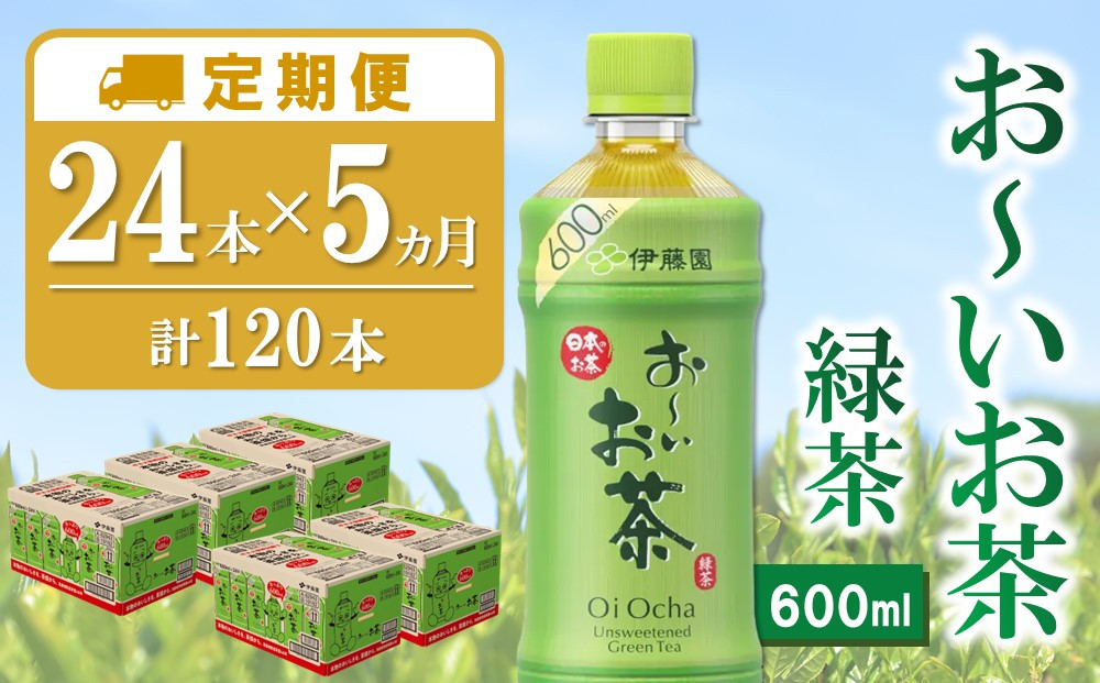 
【5か月定期便】おーいお茶緑茶 600ml×24本(合計5ケース)【伊藤園 お茶 緑茶 まとめ買い 箱買い 熱中症対策 水分補給】D4-C071359
