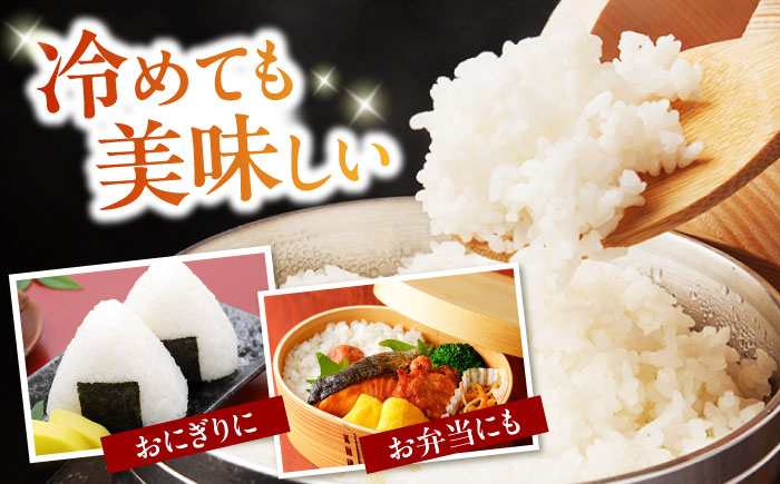 コシヒカリ 無洗米 キューブ 2合 コシヒカリ こしひかり 無洗米 真空パック 米 お米 小分け 魚のゆりかご水田