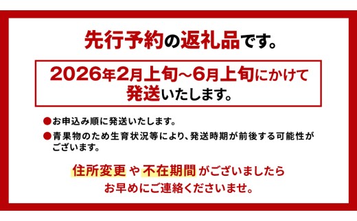 《 2026年収穫分 先行予約 》 糖度9度以上 スーパーフルーツトマト 大箱 約2.6kg × 2箱  (20～35玉/1箱) フルーツトマト ブランドトマト 野菜 ギフト 贈答 [BC009sa]