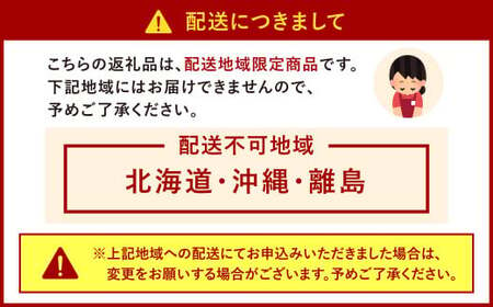 福岡県北九州市若松区産 若松濃縮トマト 約2.4kg 【1.2kg箱(15玉～30玉入り)×2箱】【2025年3月下旬～6月下旬発送予定】