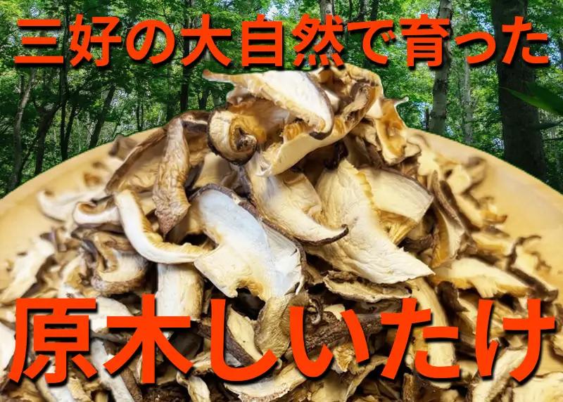 乾燥しいたけ 50g × 10袋 原木 椎茸 干し しいたけ 【 しいたけ 】