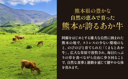 厳選 GI認証 くまもと あか牛 特選 焼肉 500g 桜屋《30日以内に出荷予定(土日祝除く)》 熊本県 産山村 肉 焼肉 GI認証 送料無料