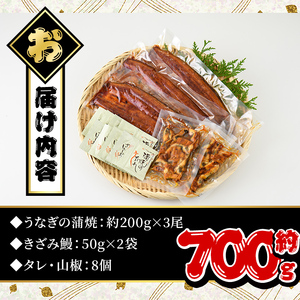 B44 うなぎ蒲焼Ｂセット(約200ｇ×3尾,きざみ鰻50ｇ×2袋,タレ・山椒付)