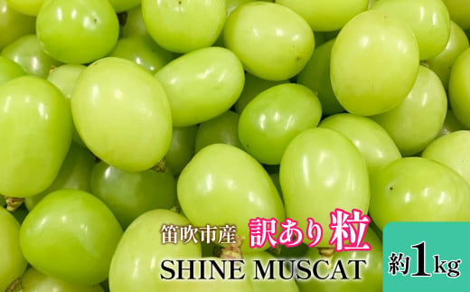 ＜25年発送先行予約＞山梨県笛吹市産　シャインマスカット訳有粒　1kg以上 105-018