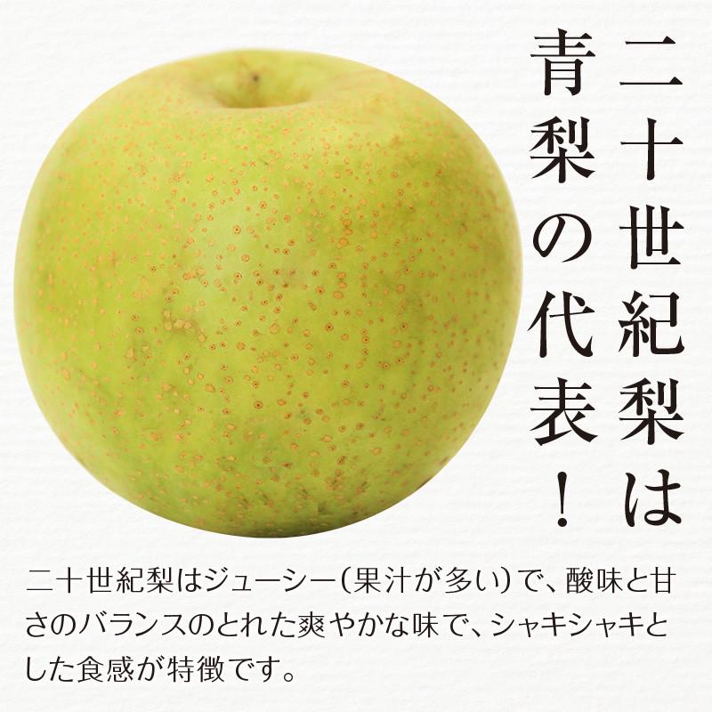 FKP9-685 【先行予約】二十世紀梨（廿世紀梨）約5kg