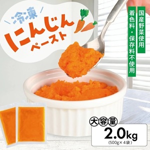 冷凍にんじんペースト2.0kg(500g×4袋) 冷凍便 ※離島発送不可 冷凍 にんじん ニンジン 人参 野菜 野菜ペースト 離乳食 介護食 小分け お菓子作り ゆざ食彩工房 遊佐町 庄内 東北 [1429NN2000G]