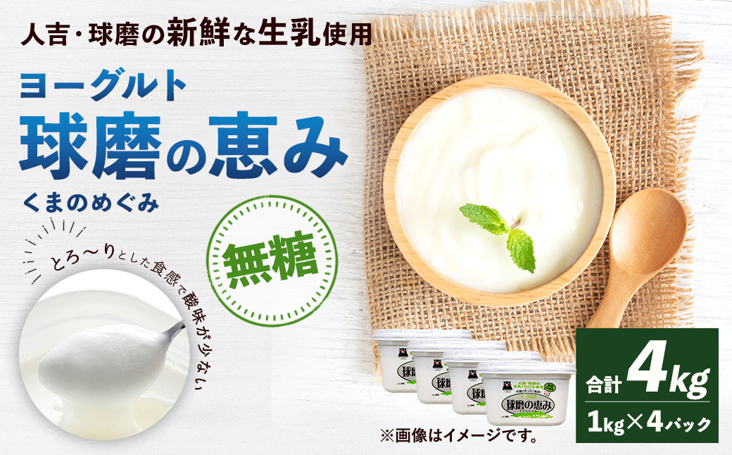 
球磨の恵み ヨーグルト 砂糖不使用 1kg×4パック 無糖 乳製品
