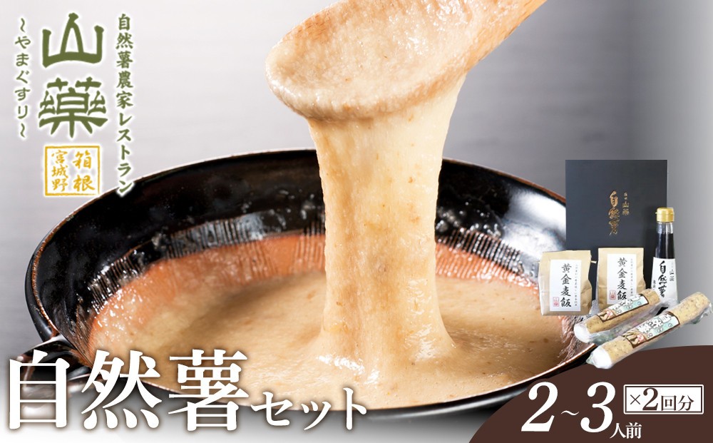 
                  お店の味をご家庭で。【箱根自然薯の森 山薬】自然薯セット(2～3人前×2回分)【とろろ 極上とろろ 山芋 箱根 お家用 家庭用 国産 セット商品 自然薯 神奈川県 小田原市 】
                