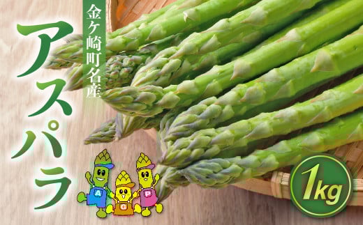 【数量限定】【先行予約】アスパラガス 1kg (約30〜50本) M/Lサイズ 混合  よこみちファーム 野菜 春野菜 新鮮 名産 名品  希少