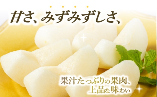 No.1721梨　なし　新高　約3kg 【2026年発送】