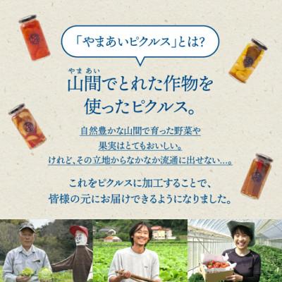 ふるさと納税 江津市 【やまあいピクルス】素材を生かした手作りピクルス　定番和風2本+季節1本(おまかせ) |  | 01