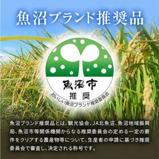 令和6年産 無洗米 米食味鑑定士 厳選 魚沼産 コシヒカリ 6kg （ 3kg × 2袋 ）（ 米 こしひかり 6kg お米 新潟 魚沼 魚沼産コシヒカリ 魚沼産こしひかり こめ ） 新潟県