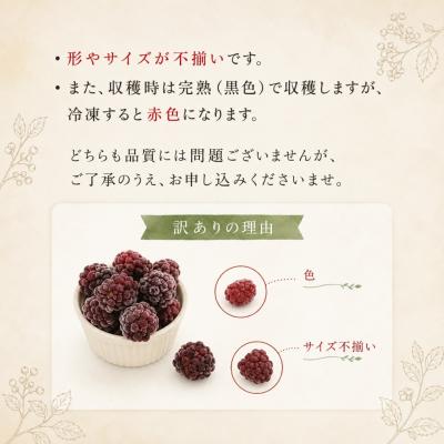 ふるさと納税 佐川町 <【加工用・訳あり】冷凍ブラックベリー約1.5kg>家庭用 国産 MIYAMOTOFARM |  | 01
