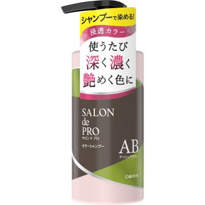ふるさと納税 稲沢市 ダリヤ　サロン　ド　プロ　カラーシャンプー 《アッシュブラウン》3個セット |  | 01