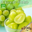 【ふるさと納税】《 先行予約 / 令和7年産 》【 定期便 】 山形県産 大玉シャインマスカット 700g (1房) 2回〔 2025年9月下旬頃 〜 お届け 〕 ぶどう 白ぶどう 2025年産 山形県 米沢市
