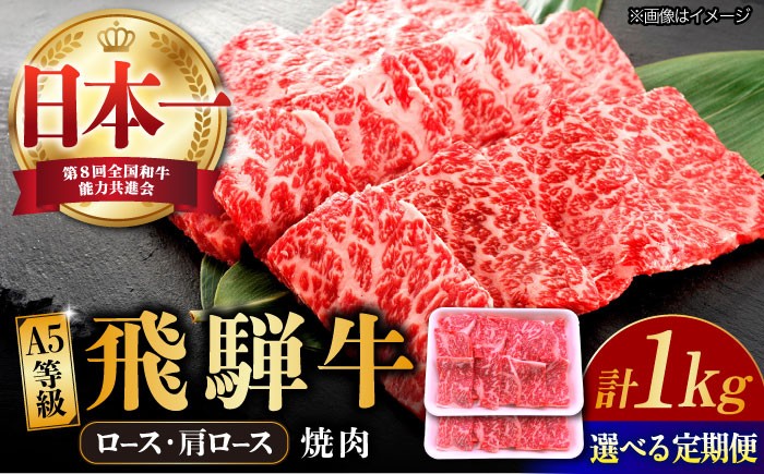 
            【選べる定期便回数】 飛騨牛 焼肉用 ロース・肩ロース 1kg (3回/6回/12回) A5等級 和牛 ブランド牛 国産 牛肉 多治見市 / 渡辺精肉店 [TAZ035]
          