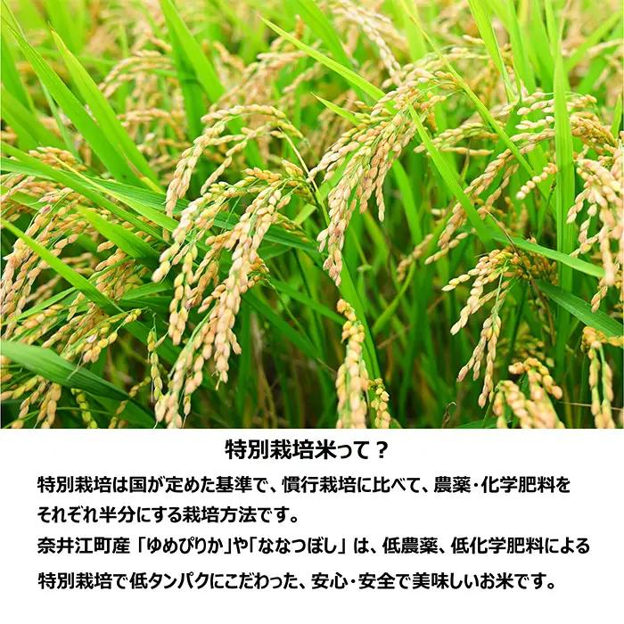 【定期便12回】北海道奈井江町　特別栽培米　ななつぼし　15kg