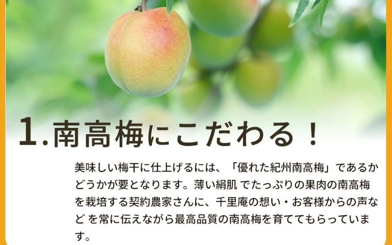 梅の精　720ml×6本 【umyssho003A】