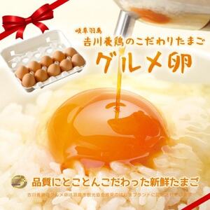 吉川養鶏のグルメ卵(L～Mサイズ10個×3パック)　贈答箱　観光協会推奨【はしまブランド】認定品　【配送不可地域：離島】【1720134】