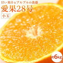 【ふるさと納税】 【11月下旬から発送予定】あいか 小玉 約6kg | 愛果28号 まどんな 柑橘 みかん 果物 くだもの フルーツ おすすめ 高級 人気 お取り寄せ グルメ ギフト 期間限定 数量限定 ご当地 愛媛県 松山市