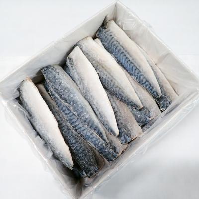 ふるさと納税 根室市 根室海鮮市場＜直送＞無添加天然サバフィーレ20枚 A-28081 |  | 03