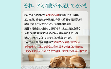 ドックフード 熟成肉ジャーキー 6袋入り