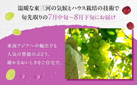 季節先取り！ たっぷり1.2kg 豊橋産 皮ごと 種なしシャインマスカット300ｇ×2 種無し巨峰300ｇ×2 ブドウ ぶどう マスカット フルーツ 甘い 1.2キロ 果物  詰め合わせ  食べ比べ 