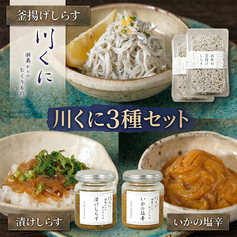【ふるさと納税】 しらす 川くに 3種セット 漬けしらす いかの塩辛 釜揚げしらす セット 生シラス 取れたて 冷凍 特製たれ しょう油 醤油 いか 一夜干し 釜揚げ 漬け お酒 惣菜 塩辛 つまみ おかず ご飯 魚 海鮮 イカの塩辛 海の幸 ご飯のお供 株式会社 川国 神奈川県 平塚市