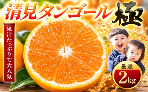 【先行受付】【オレンジ好き必見】とろける果肉【清見タンゴール】【極】2kg　愛媛県産 【A49-94】 【1623955】 YWTZ079