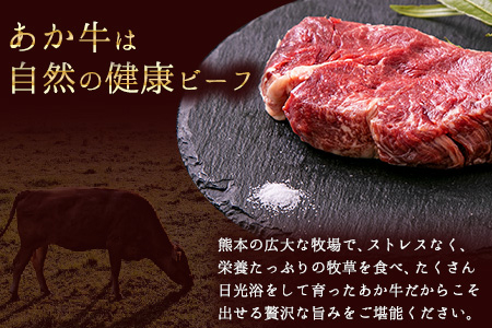 あか牛 ヒレ ステーキ 450g (150g x3) 熊本県産 和牛 肉 《90日以内に出荷予定(土日祝除く)》 冷凍庫 個別 取分け 小分け 個包装 ステーキ肉 あかうし 赤牛 あか牛丼 にも 国産