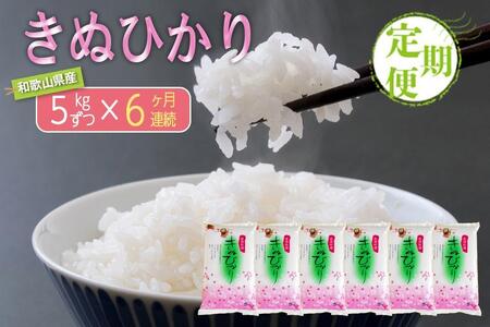 【お米の定期便／全6回】和歌山県産 米 キヌヒカリ30kg (5kg×6) 2025年産 ［SL21］