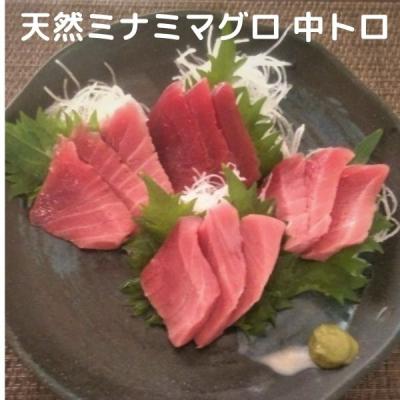 ふるさと納税 焼津市 天然 南 鮪 (マグロ) 中トロ 600g 入り セット(a20-285)