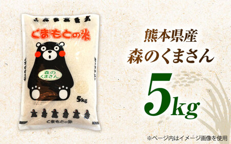 〈令和7年度産米〉熊本県産 森のくまさん 白米 5kg 米 お米 ご飯 こめ【有限会社 あそしな米穀】[ZBI032]