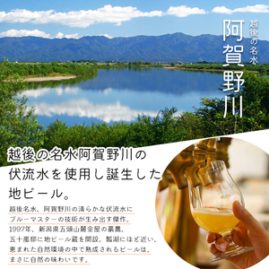ビール スワンレイクビール 金賞受賞入り こしひかり仕込みビール2本セット 阿賀野市 新潟県 阿賀野 クラフト クラフトビール 地ビール ビール お酒 酒 ギフト プレゼント 贈答 贈り物 お中元 お