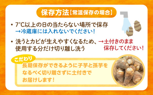 【粘りと甘みが段違い】里芋『とろまろ』土付き・1.8kg 1箱・H063