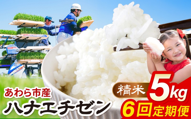 
                  【先行予約】【令和8年産】定期便 ≪6ヶ月連続お届け≫ ハナエチゼン 精米 5kg（計30kg）（農事組合法人イーノなかのはま100） / 北陸 福井県産 あわら市 ブランド米 白米 お米 コメ ※2026年10月より順次発送予定  [aw139-d002]
                