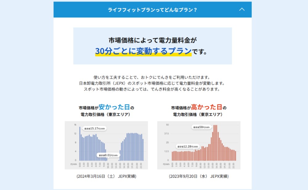 数量限定！実質再生可能エネルギー100％の電気返礼品「ライフフィットプラン」でんき料金【5,000円（税込）×4か月分】＆オリジナルACアダプター 卒FIT電力 世田谷区