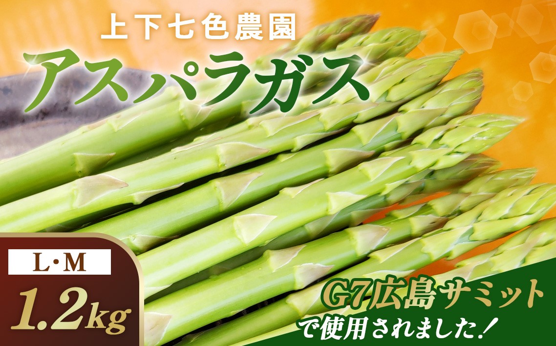 
                  上下七色農園 アスパラガス　L・Ｍサイズ　ダンボール（1.2kg） ／ アスパラガス グリーンアスパラ ギフト お中元 野菜ギフト 新鮮 みずみずしい 甘み やわらかい 国産 産地直送 サラダ BBQ 炒め物 朝採れ Lサイズ Mサイズ 家庭用 贈り物 春野菜 高級野菜 広島県 特産品 No.1096
                