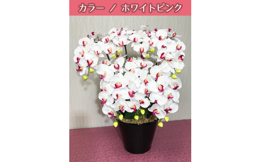 光触媒造花胡蝶蘭　7本立（ホワイトピンク）