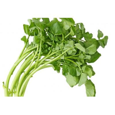 ふるさと納税 大子町 奥久慈クレソンの最強野菜粉末パウダー (50g×3袋) |  | 01