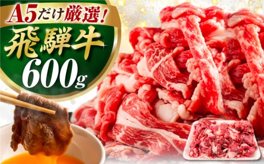 【10月発送】飛騨牛 切り落とし 600g / 飛騨牛 肉 お肉 切落し 不揃い A5ランク 牛肉 岐阜県 / 御嵩町 / 肉のキング [AVAG019-10]
