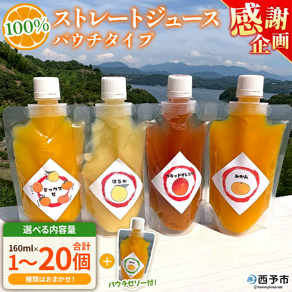 【ふるさと納税】【感謝企画】＜100％ストレートジュース パウチタイプ160ml 合計1～20個＞『1か月以内に順次発送予定』選べる 内容量 種類はおまかせ 果物 フルーツ 柑橘類 みかん 蜜柑 ミカン みかんジュース 飲料 渡江から一歩を踏み出す会 愛媛県 西予市 【常温】