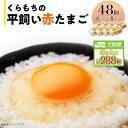 【ふるさと納税】くらもちの農場から平飼いたまご 赤玉子 新鮮 赤玉 定期便 高級 平飼い 健康 飼育 国産 鶏 鳥 鶏卵 卵 タマゴ お菓子 朝食 生卵 卵かけごはん TKG 456 たまご 48個 8パック 定期便 6カ月 計288個 小分け 新鮮 赤 玉子 卵 タマゴ くらもちの農場 平飼い