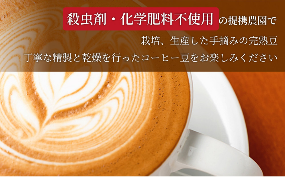 猫と海コーヒー（浅煎りブレンド）200g/猫と夕陽コーヒー（中煎りブレンド）200g/猫と月コーヒー（深煎りブレンド）200g 各5袋 【1セット】 コーヒー豆 珈琲豆 浅煎り 中煎り 深煎り 焙煎 