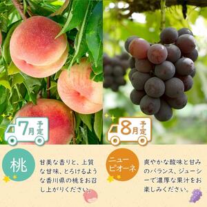 坂出のいいとこどり定期便 【7月・8月・9月・12月・1月・2月】 全6回