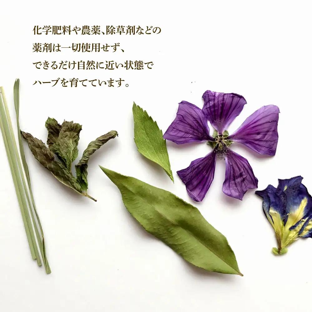 【全3回定期便】ハーブ仁淀川産 高知ブルース ハーブティー ティーバッグタイプ 7袋入り×2個 高知県土佐市 【ハーブ仁淀川】 [BQBO041]