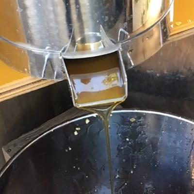 ふるさと納税 合志市 立山養蜂場　国産百花蜂蜜1kg |  | 03