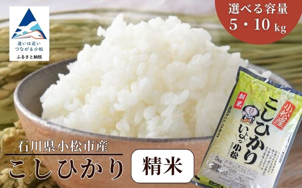 
                  こしひかり 選べる 精米 5kg / 10kg 令和7年産 コシヒカリ 精米 白米 米 こめ コメ お米 5kg 米5kg 10kg 米10kg 石川県産 小松市産 こしひかり コシヒカリ 農協 令和7年産 R7年産 2025年産 | 石川県 小松市 JA小松市
                